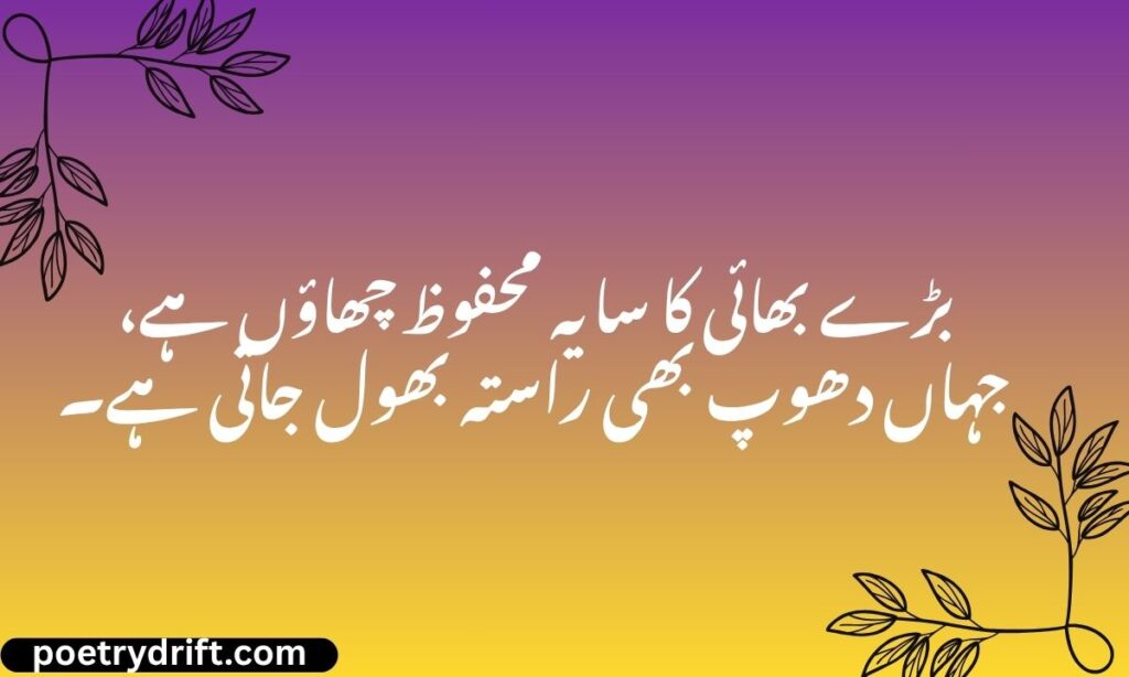 Big Brother Shayari in Hindi Attitude