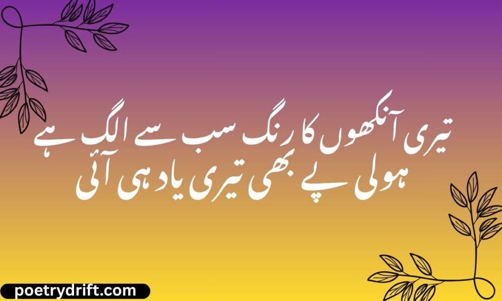 Holi Sad Shayari in Hindi for Girlfriend