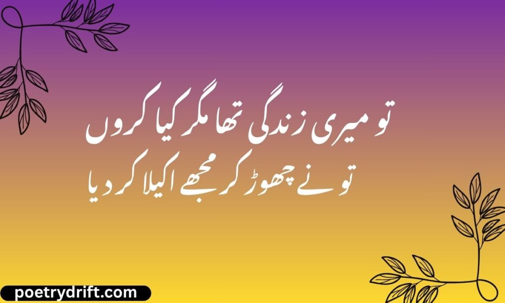 Heart Broken Poetry in Urdu Text Copy and Paste