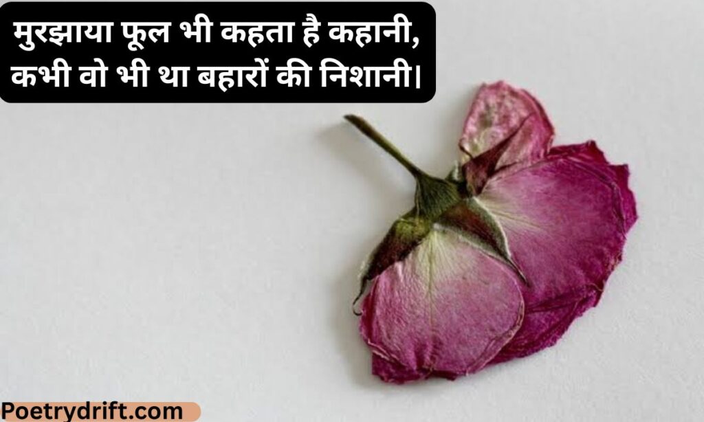 Sukhe Phool Shayari