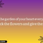 62+ Best One Sided Love Shayari in English for The Silent Lover