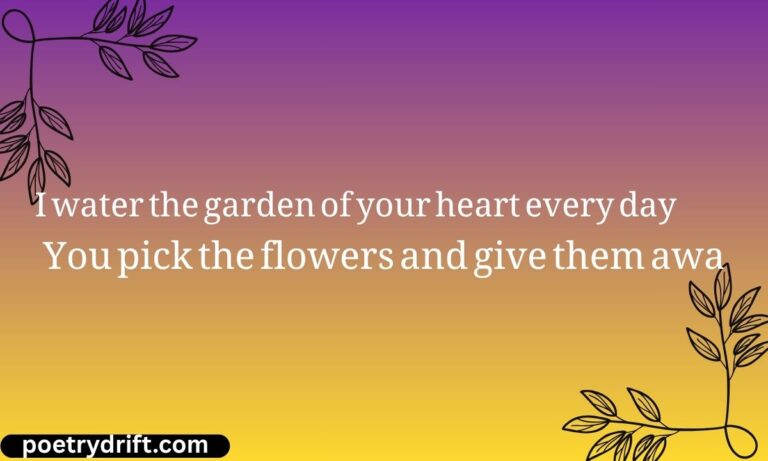 62+ Best One Sided Love Shayari in English for The Silent Lover