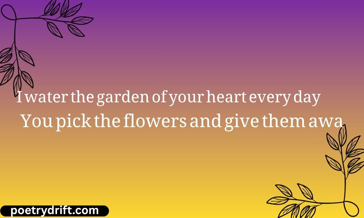 62+ Best One Sided Love Shayari in English for The Silent Lover