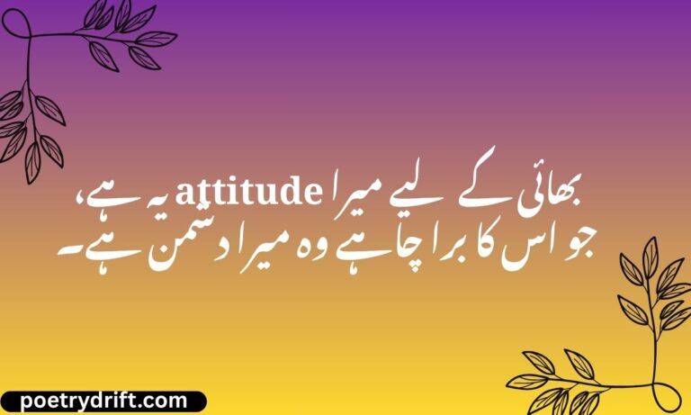 Attitude Shayari in Hindi for Brother