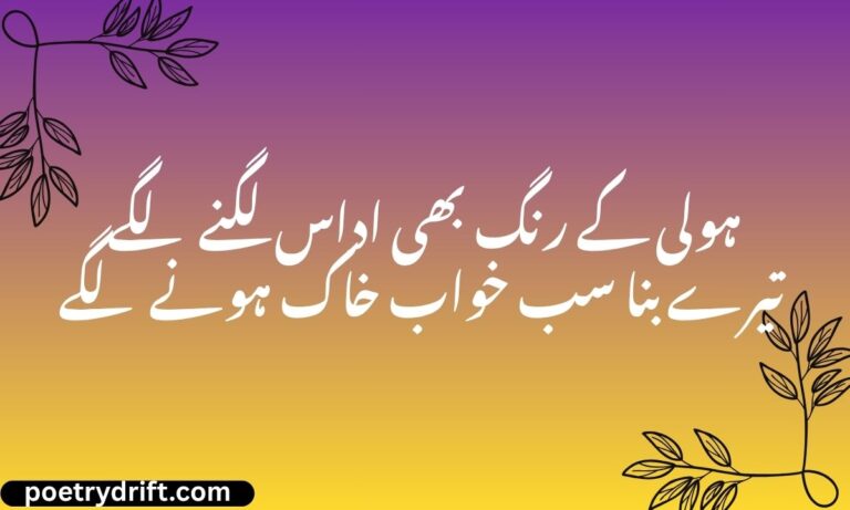 Top 98+ Holi Sad Shayari in Hindi Emotional Holi Quotes (1)
