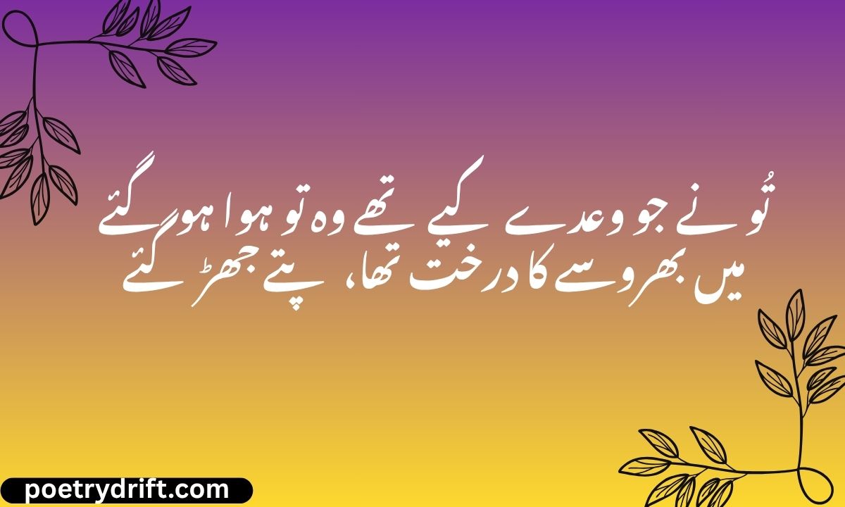 تُو نے جو وعدے کیے تھے وہ تو ہوا ہو گئے میں بھروسے کا درخت تھا، پتے جھڑ گئے