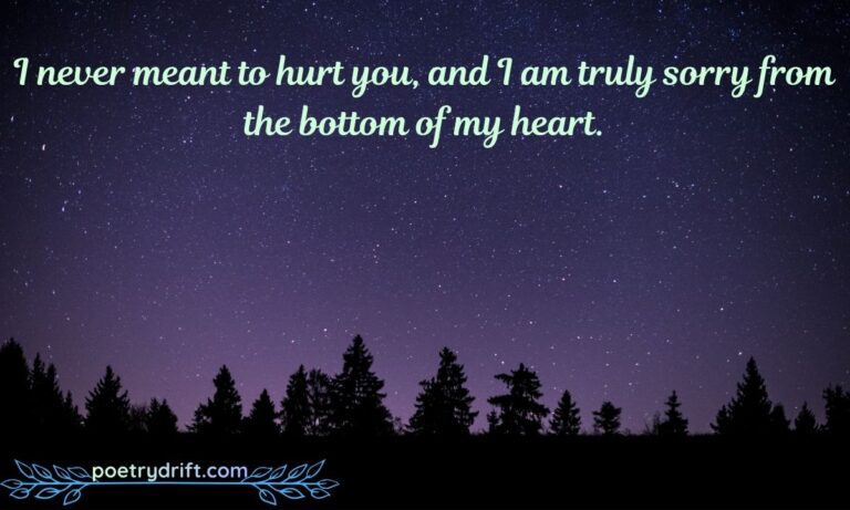 129+ Romantic And Heart Touching Apology Message To My Love [Him or Her] (2026)