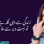 Top 183+ Best Urdu Shayari on Life 2026 Heart-Touching & Emotional Poetry