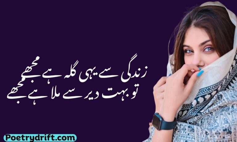 Top 183+ Best Urdu Shayari on Life 2026 Heart-Touching & Emotional Poetry
