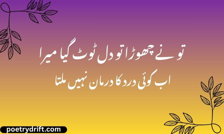 Top 43 Heart Broken Poetry in Urdu (2026)