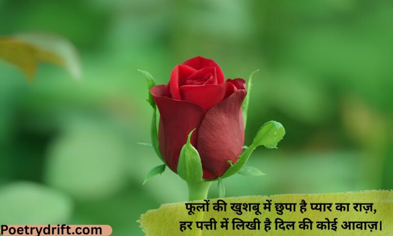 76+ Best Phool Shayari 2 Line in Hindi (2026) _ दिल छू लेने वाली फूल शायरी