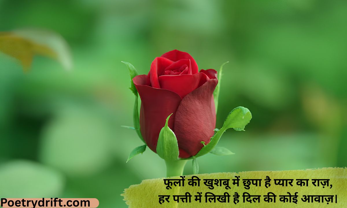 76+ Best Phool Shayari 2 Line in Hindi (2026) _ दिल छू लेने वाली फूल शायरी