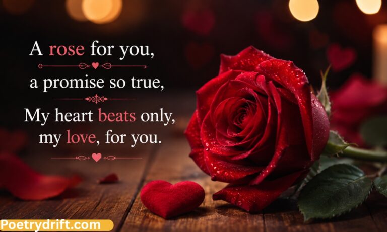 100+ Rose Shayari in Hindi _ Best Romantic Rose Shayari (2026)