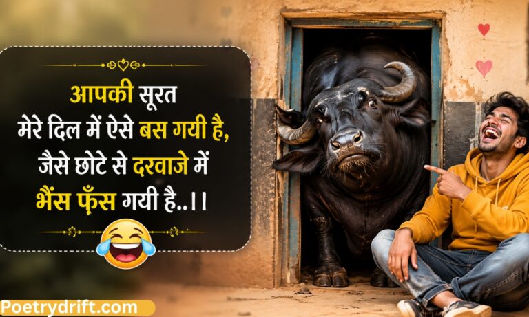 212+ Funny Shayari in Hindi _ Best Funny WhatsApp & Instagram Status